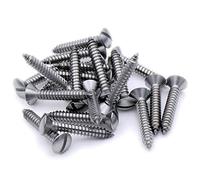 No.14 x 0.875 (6.3mm x 22mm) Slot Raised Countersunk Self-Tapping Screw - Stainless Steel (A2) (Pack of 20)