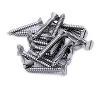 No.4 x 0.25 (2.9mm x 6.5mm) Slot Countersunk Self-Tapping Screw - Stainless Steel (A2) (Pack of 20)