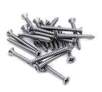 No.6 x 0.25 (3.5mm x 6.5mm) Pozi Countersunk Self-Tapping Screw - Stainless Steel (A2) (Pack of 20)