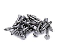 No.7 x 0.875 (3.9mm x 22mm) Slot Raised Countersunk Self-Tapping Screw - Stainless Steel (A2) (Pack of 20)