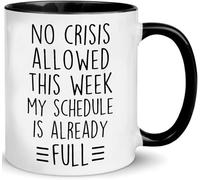 No Crisis Allowed This Week Funny Office Mug - Sarcastic Gag Gift for Coworkers/Boss (Women/Men) | Tea Cup11 Oz Novelty Drinking Cup