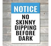 No Day Skinny Dip, Night Time Skinny, Pool Owners Sign wall Decor Metal Plaque