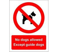 No dogs allowed Except guide dogs sign - Self adhesive sticker 300mm x 200mm