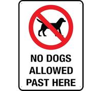 No Dogs Allowed Past Here Sign For House Door Office Business Yard,Metal Aluminum Rust Free Sign - 12" X 8", Pre-Drilled Holes, Weather Resistant
