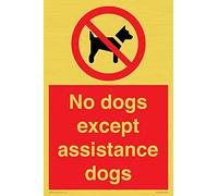No dogs except assistance dogs Sign - 200x300mm - A4P