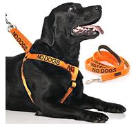 NO DOGS (Not good with other dogs) Orange Colour Coded Non-Pull Dog Harness and 60cm 1.2m 1.8m Luxury Neoprene Padded Handle Lead Sets PREVENTS Accidents By Warning Others Of Your Dog In Advance (Harness & 1.2m)