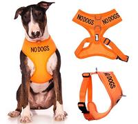 NO DOGS (Not good with other dogs) Orange Colour Coded Non-Pull Front and Back D Ring Padded and Waterproof Vest Dog Harness PREVENTS Accidents By Warning Others Of Your Dog In Advance (L)