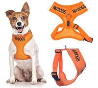 NO DOGS (Not good with other dogs) Orange Colour Coded Non-Pull Front and Back D Ring Padded and Waterproof Vest Dog Harness PREVENTS Accidents By Warning Others Of Your Dog In Advance (XS)