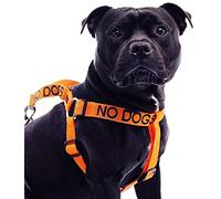 NO DOGS (Not good with other dogs) Orange Colour Coded Non Pull L-XL Dog Harness PREVENTS Accidents By Warning Others Of Your Dog In Advance