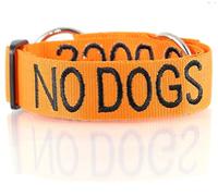 “NO DOGS Orange Coded Nylon Wide Large L-XL Semi-Check Dog Collar (Not Good With Other Dogs) PREVENTS Accidents by Warning Others of Your Dog in Advance!