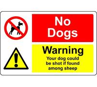 No dogs warning your dog could be shot if found amongst sheep - 3mm Aluminium sign (400mm x 300mm)