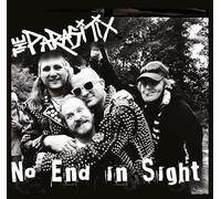 No End In Sight [VINYL]