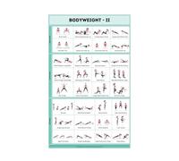 No Equipment Workout Chart Metal Tin Sign Calisthenics Bodyweight Training Guide With Progressions For Home Gym Strength Conditioning 8 X 12 in