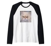 No Funny Cute Persian Cat Blurry Photo Meme Raglan Baseball Tee