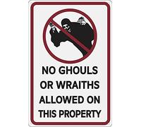 No Ghouls Or Wraiths Allowed On This Property 12" x 8" Funny Tin Sign Halloween Theme Home Decor