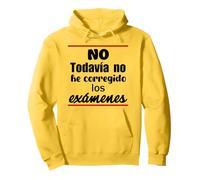 No, I haven't corrected the exams yet Pullover Hoodie