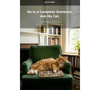 No is a complete sentence. Cat approves.: Less explaining. More living.