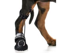 No Knuckling Boot Brace for Dogs - Durable Dog Boots for Rear Leg Braces for Dogs - Ideal for Neurological Issues, Fce, Dm, and Paw Knuckling - Dog Splint Front Leg, Dog Foot Paw Brace (L)