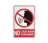 No Loud Noise No Screaming Sign 12 X 8 Inch Metal Sign, Rustproof Aluminum, Multicolor