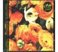 No More Apologies by A House