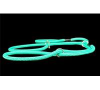 No More Pulling! Anti Pull Lead Field Figure 8 / Halter/Head Collar One Size Fits All Super Soft Braided Nylon Comfortable Make Your Walks More Enjoyable -Instructions Included (Mint Green)