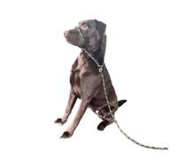 No More Pulling! Anti Pull Lead Field Figure 8 / Halter/Head Collar One Size Fits All Super Soft Braided Nylon Comfortable Make Your Walks More Enjoyable -Instructions Included (Green/Olive)