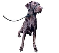 No More Pulling! Anti Pull Lead Field Figure 8 / Halter/Head Collar One Size Fits All Super Soft Braided Nylon Comfortable Make Your Walks More Enjoyable -Instructions Included. (Green-Black)
