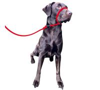 No More Pulling! Anti Pull Lead Field Figure 8 / Halter/Head Collar One Size Fits All Super Soft Braided Nylon Comfortable Make Your Walks More Enjoyable -Instructions Included. (Green-Black)