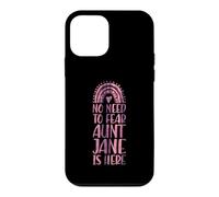 No Need To Fear Aunt Jane Is Here First Name Rainbow Auntie Case for iPhone 12 mini