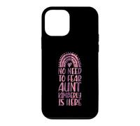 No Need To Fear Aunt Kimberly Is Here First Name Rainbow Case for iPhone 12 mini