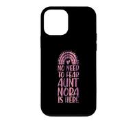 No Need To Fear Aunt Nora Is Here First Name Rainbow Auntie Case for iPhone 12 mini