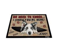 No Need To Knock I Know You Are Here Greenland Dog 40X60Cm Doormat Resist Dirt Floor Mats Washable Indoor Outdoor Mats Bathroom Rug For Kitchen Doorstep Shower