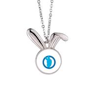 no/no amepolitics brief joe profile sketch Rabbit Necklace Pendant Bunny Animal Jewelry Gift