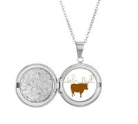 no/no Common Knowledge English Language Culture Locket Necklace Hold Picture Jewelry Birthday Gift