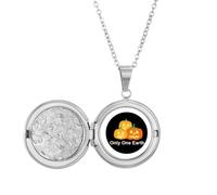 no/no Earth Environmental Protect Peace Locket Necklace Hold Picture Jewelry Birthday Gift