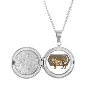 no/no Feline Tigers Fierce Wings Locket Necklace Hold Picture Jewelry Birthday Gift