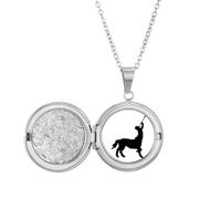 no/no Ferocious Ability Gods Animals Abroad Locket Necklace Hold Picture Jewelry Birthday Gift