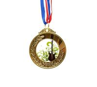 no/no Green,Guitar Music Fresh Pattern Gold Award Winner Medal First Place Ribbon