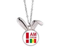 no/no I Am From Nigeria Art Deco Fashion Rabbit Necklace Pendant Bunny Animal Jewelry Gift