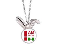 no/no I Am From Norfolk Island Art Deco Fashion Rabbit Necklace Pendant Bunny Animal Jewelry Gift