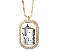 no/no Map Cage Continent Antarctica Necklace Pendant Diamond Crystal Golden Jewelry
