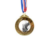 no/no Masterpiece the Classic of Mountains Drawing Gold Award Winner Medal First Place Ribbon
