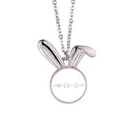 no/no Mathematical Formula Expression Calculation Brackets Rabbit Necklace Pendant Bunny Animal Jewelry Gift