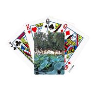 no/no Mild Wind Poker Playing Card Tabletop Board Game