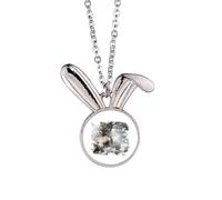 no/no Pritive God Cosmos Regeneration Rabbit Necklace Pendant Bunny Animal Jewelry Gift
