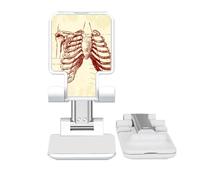 no/no Rib Human Pleural Sketching Skeleton Adjustable Cell Phone Stand Desk Foldable