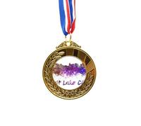 no/no salt lake city amecity watercolor Gold Award Winner Medal First Place Ribbon