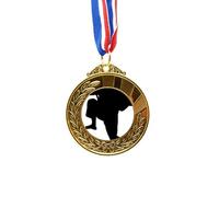 no/no Shaolin Kung Fu China Chinese Martial Art Gold Award Winner Medal First Place Ribbon
