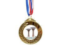 no/no Singapore Gardens By the Bay Gold Award Winner Medal First Place Ribbon