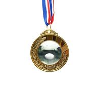 no/no Southern Season Chinese Style Watercolor Gold Award Winner Medal First Place Ribbon